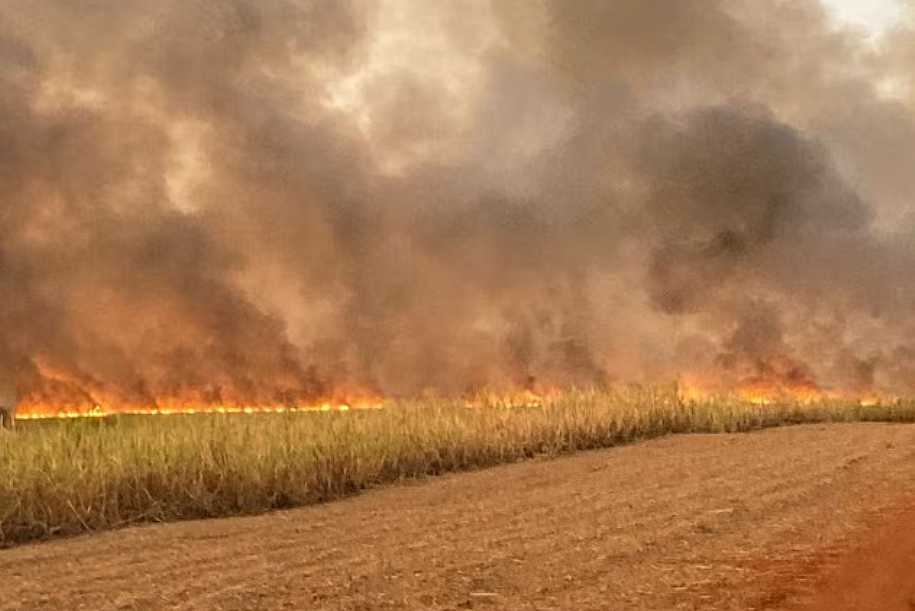 Queimada deixa canavial e fazenda devastados em Olímpia