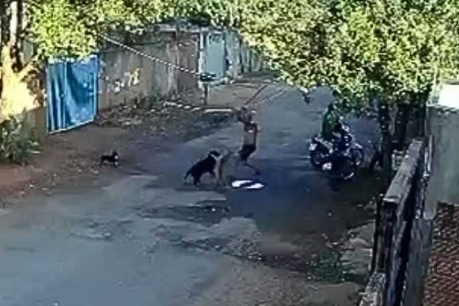 Homem é preso suspeito de dar pauladas em cães no meio da rua no interior de SP; um deles morreu