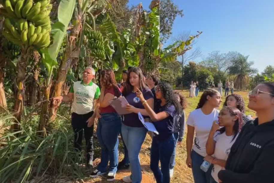 Os segredos do campo: projeto leva alunos de Promissão a vivenciar rotina no campo