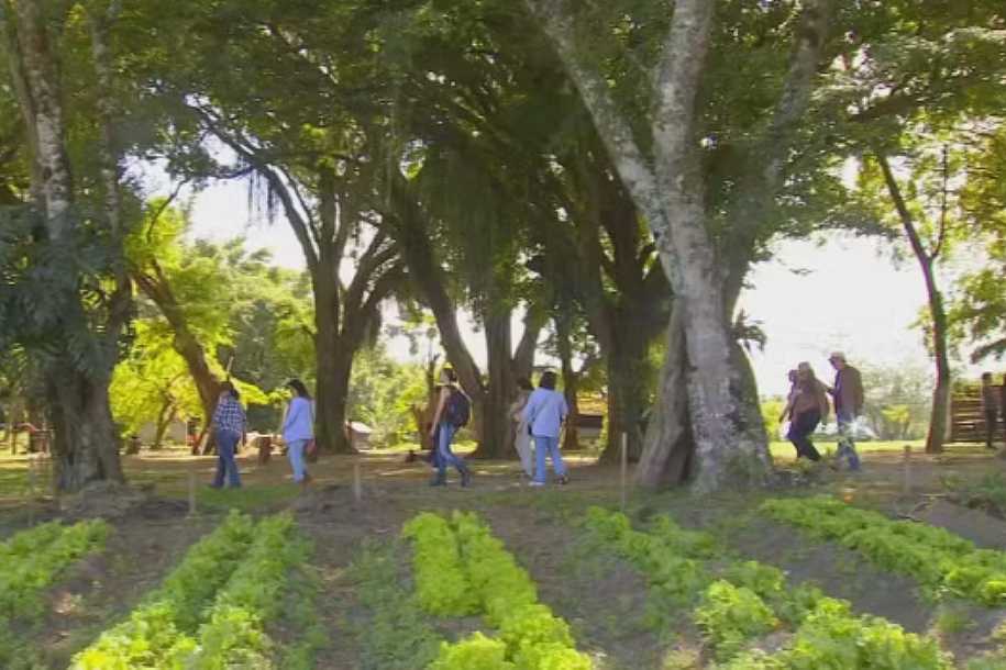 Região de Itapetininga promove contato com a natureza através do turismo rural