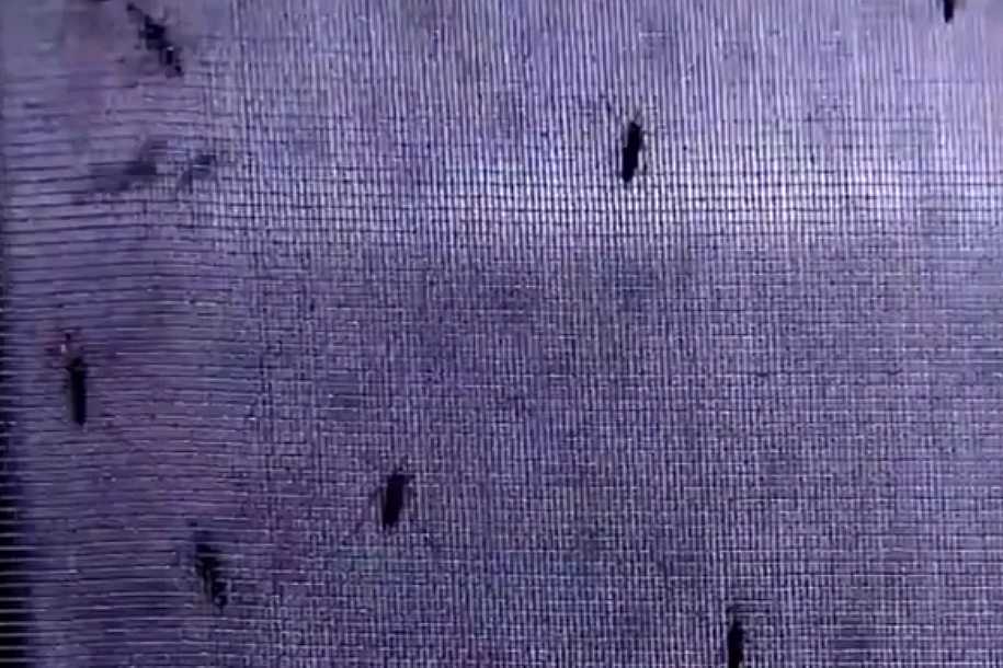 Saúde de SP confirma 2ª morte por dengue em Ariranha