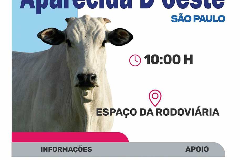 Leilão em Prol do Hospital do amor em Aparecida d´Oeste foi esplêndido
