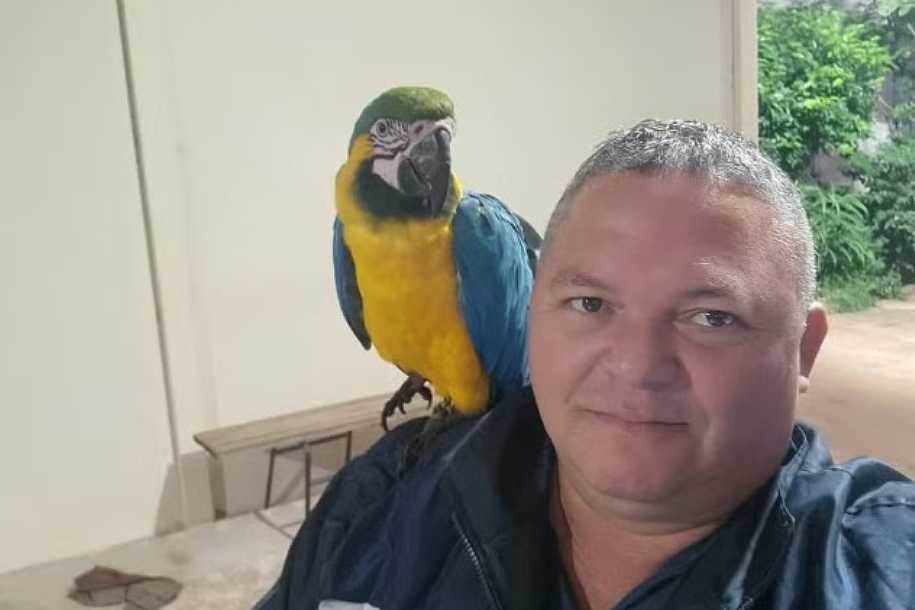 Arara pousa em braço de guarda municipal e ´pega carona´ durante patrulhamento no interior de SP: ´Surpreendido´