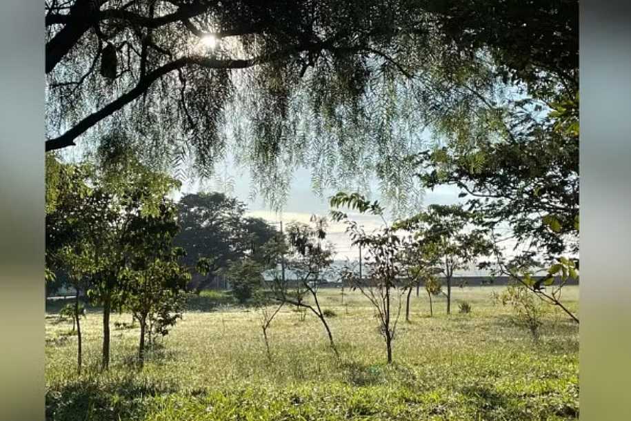 Frente fria derruba temperatura e cidades chegam a registrar 1ºC e geada no interior de SP; confira