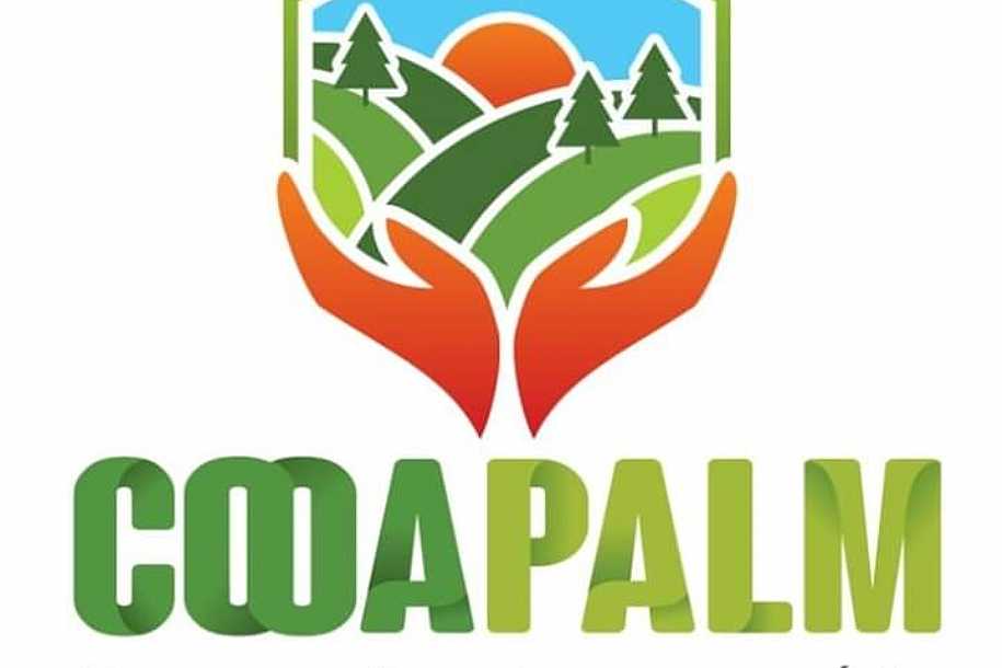Cooperativa agropecuária de Palmeira d’Oeste (Cooapalm) completa 1 ano e supera expectativas