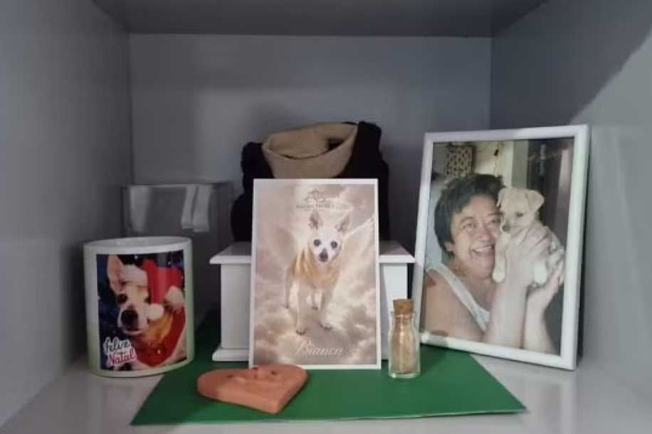 Perda de um pet pode causar tristeza profunda e até depressão; psicóloga orienta como enfrentar o luto