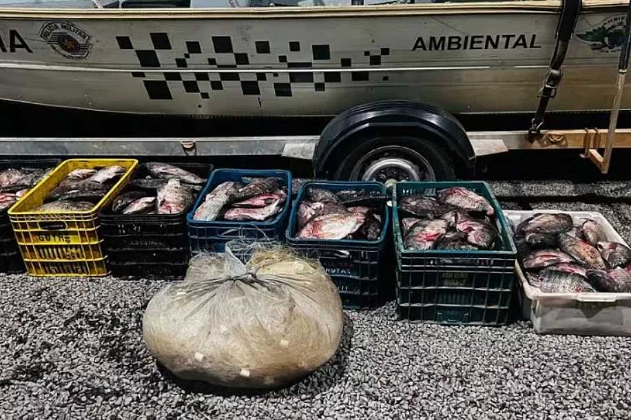 Polícia Ambiental apreende mais de 300 quilos de peixe e multa em R$ 17 mil grupo por pesca predatória em Novo Horizonte