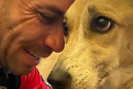 Cachorra Pandora é encontrada e devolvida ao dono após 45 dias
