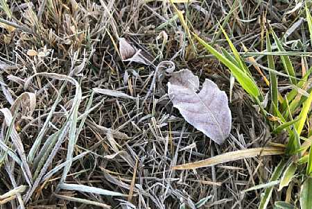 Dirce Reis registra a temperatura mais baixa da região nesta quinta-feira (1º), com -1,7ºC