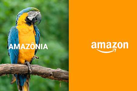 Amazon vai restaurar florestas na Amazônia do País em ação de remoção de carbono