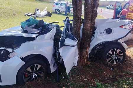Motorista morre ao bater veículo contra árvore em rodovia