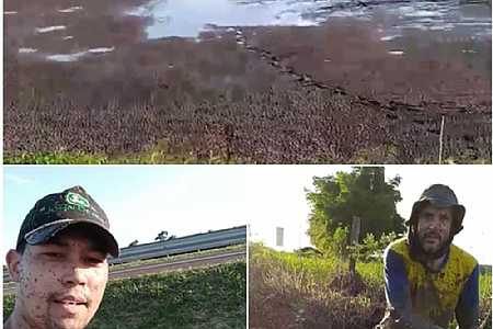 Moradores se unem para salvar peixes após lagoa secar no interior de SP: Satisfação muito grande