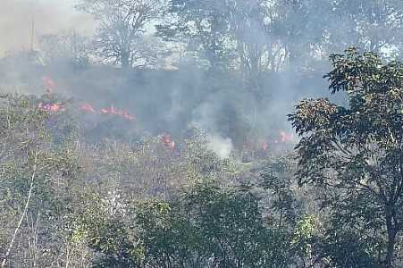 Incêndio de grandes proporções atinge área verde em Auriflama