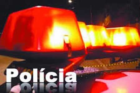 Bezerros invadem rodovia e são atropelados por caminhão