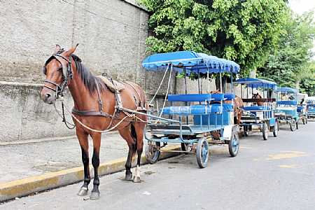 Emplacamento de carroças e charretes passa a ser obrigatório em Araçatuba