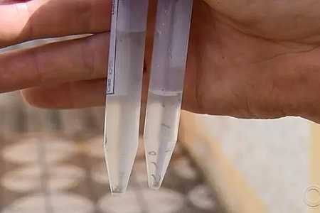 Mirassol e Icém registram mortes por chikungunya