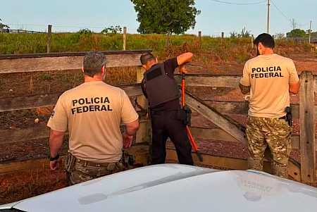 PF faz operação em três estados contra grupo suspeito de causar dano ambiental de R$ 11,3 milhões