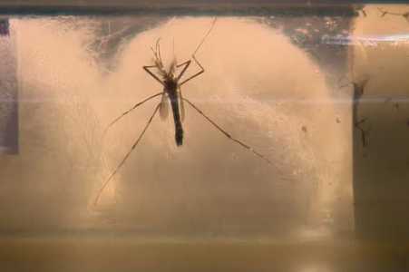 Votuporanga registra 13ª morte por dengue neste ano
