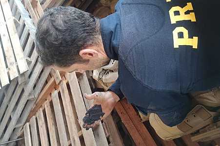 PRF apreende 20 toneladas de “ouro negro” na região de Rio Preto