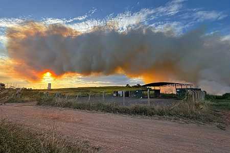 Área da Fazenda Municipal é alvo de incêndio em Rio Preto
