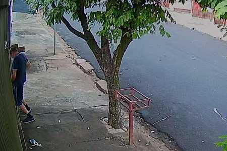 Câmera flagra idoso colocando o pênis em portão para pitbull lamber