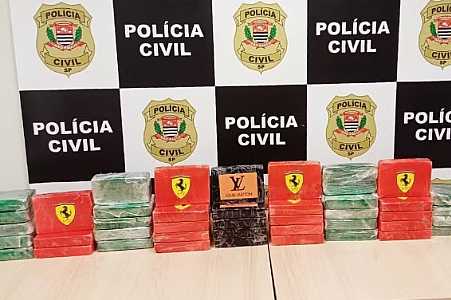 Polícia apreende 42 tabletes de drogas em buraco com piso falso em casa de Rio Preto