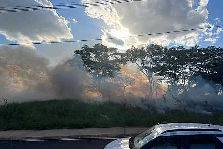 Incêndio destrói 30 mil metros quadrados em área de mata em Rio Preto