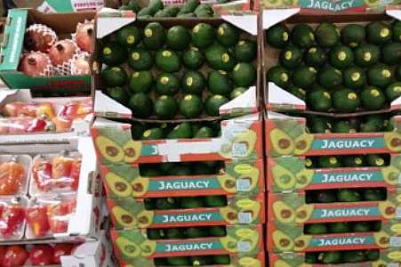 Agricultura de SP promove ações para aprimorar a padronização de hortifrútis