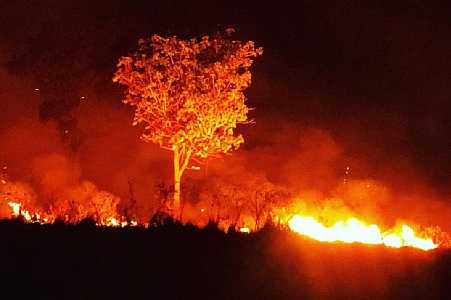 Incêndios no antigo IPA, em Rio Preto, já consumiram mais de 500 campos de futebol