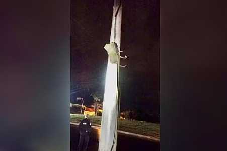 Homem é preso após furtar fios elétricos de semáforo em Rio Preto