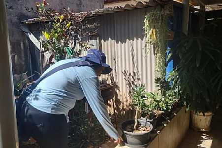 ´Mutirão da dengue´ em Jales: Saiba em quais bairros ação passará nos próximos dias