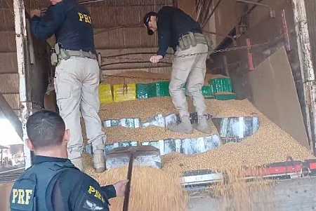 PRF intercepta mais de 5 toneladas de maconha que seriam entregues na região Rio Preto; vídeo