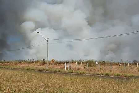 Queimada atinge plantação de cana-de-açúcar em Rio Preto
