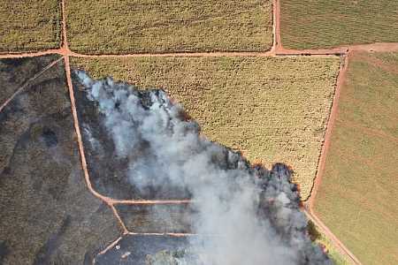 Incêndio de grandes proporções atinge canavial de usina sucroalcooleira em Guapiaçu