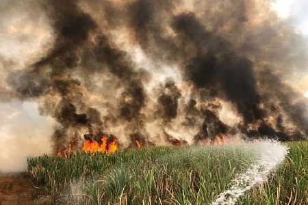 Corpo de comerciante é encontrado após incêndio em canavial