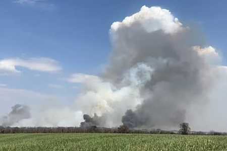 Incêndios causam interdição de rodovia e danos ambientais no noroeste de SP