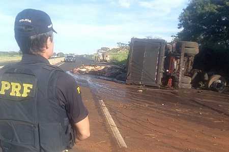 Caminhão carregado com couro bovino tomba em rodovia de Rio Preto