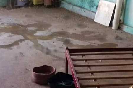 Mulher tem braço dilacerado após ser atacada por pitbull em canil clandestino de Birigui