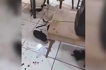 Mulher é agredida e tem cabelo cortado após ex invadir a casa dela pelo telhado; atual namorado foi esfaqueado