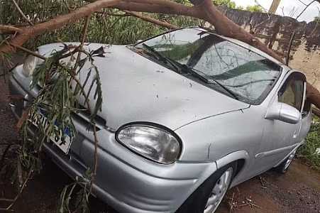 Chuva acompanhada de ventos fortes provoca danos e queda de árvore sobre veículo em Pereira Barreto