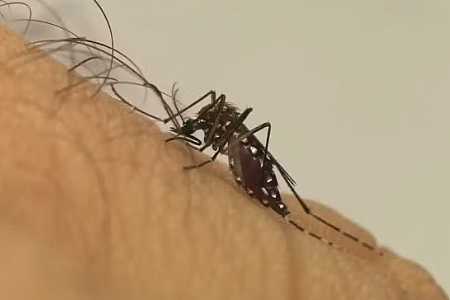 Força Nacional faz ´raio-X´ nas unidades de Saúde de Rio Preto para traçar plano no combate à dengue