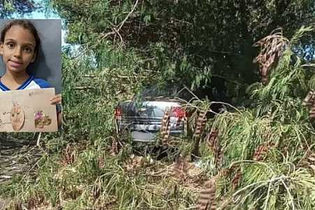 Menina de 8 anos morre após carro bater em árvore em Riolândia