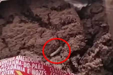 Fabricante de biscoitos é condenada após criança encontrar larvas ao ingerir cookies