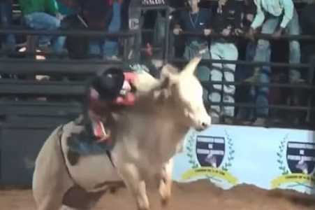 Peão quebra o maxilar após bater rosto contra chifre de touro em rodeio no interior de SP; vídeo