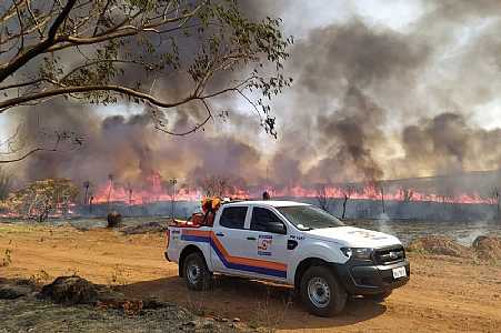 Queimada de grandes proporções atinge área de vegetação em Rio Preto