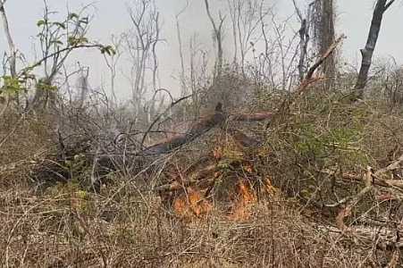 Incêndio de grande proporção destrói área de 300 hectares e já dura cinco dias no interior de SP