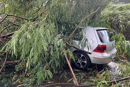 Prefeitura, bombeiros e Defesa Civil intensificam ações para amenizar estragos após chuva em Rio Preto