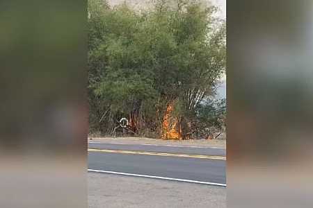 MP denuncia suspeitos de invadir propriedade para colocar fogo em área de mata em Penápolis