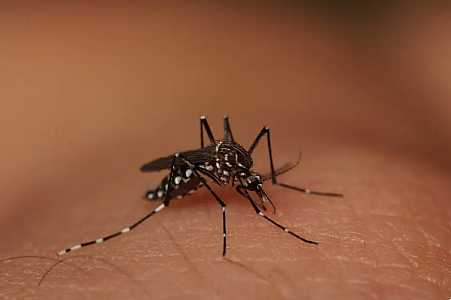 Irapuã registra primeira morte por dengue em 2024, diz prefeitura