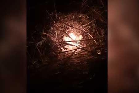 Brigada de incêndio encontra velas acesas em canavial e evita incêndio em Brejo Alegre